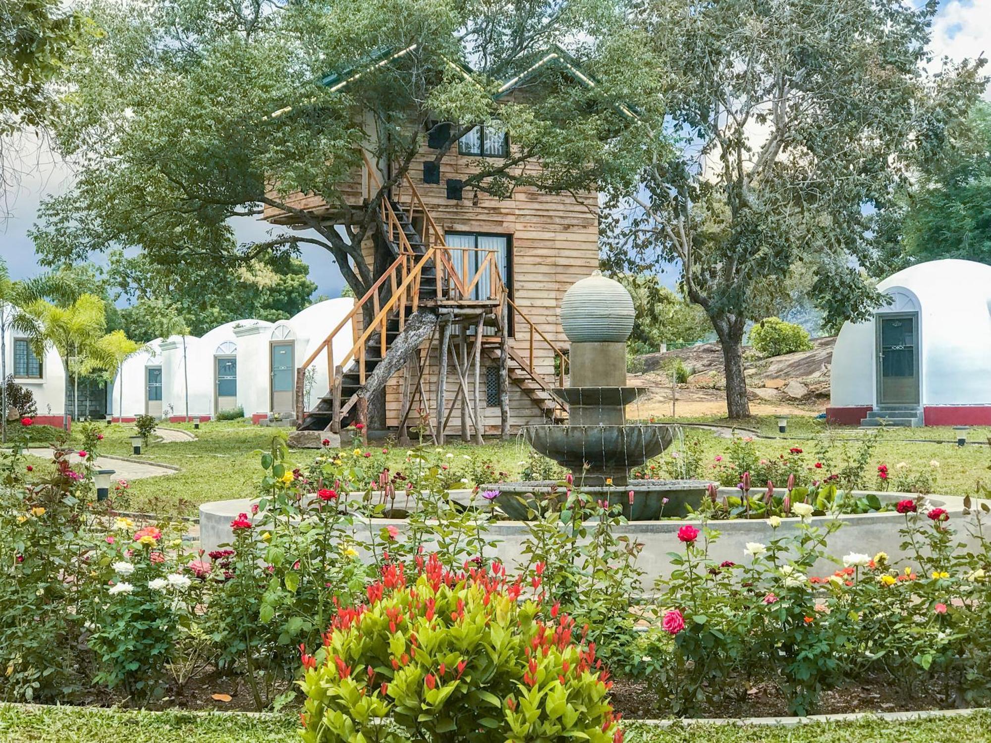 The Lion Kingdom Sigiriya酒店 外观 照片